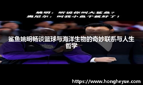 鲨鱼姚明畅谈篮球与海洋生物的奇妙联系与人生哲学
